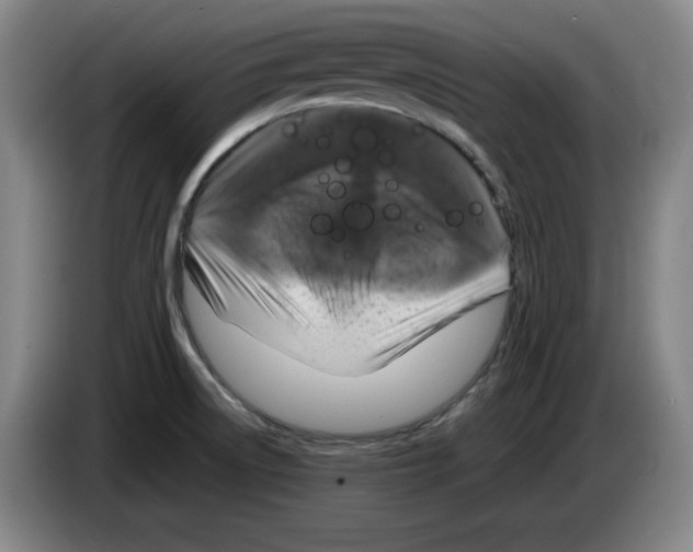 X0000083601522200703091730