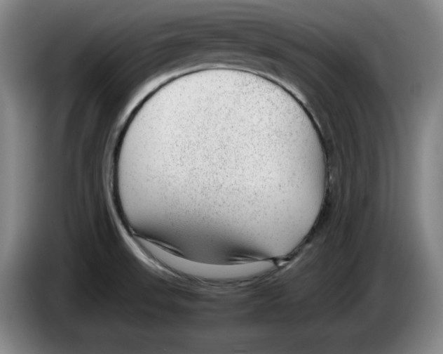 X0000083601523200703091730