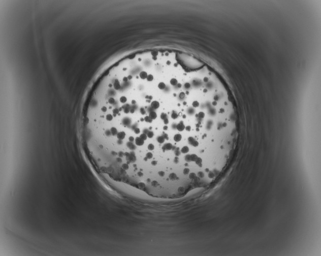 X0000083601525200703091730