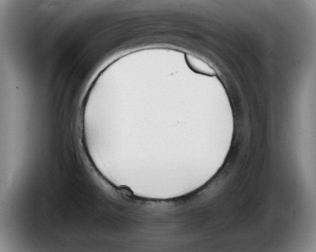 X0000083601526200703091730