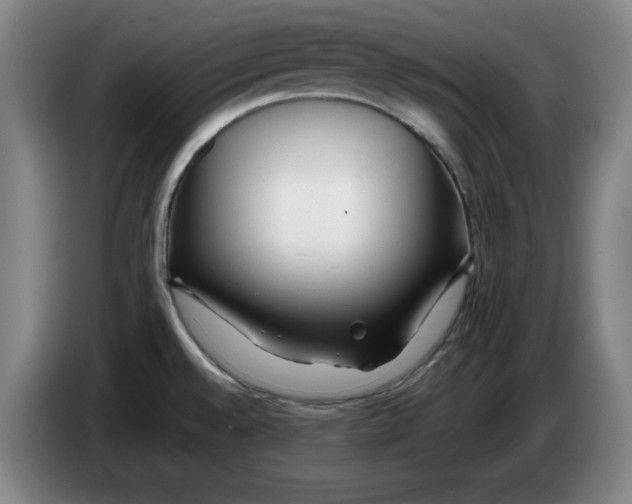 X0000083601528200703091730