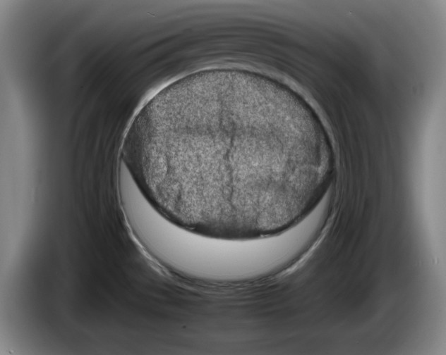 X0000083601529200703091730