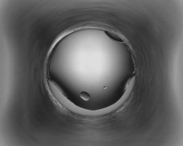 X0000083601530200703091730