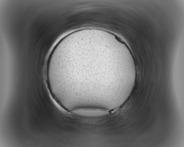 X0000083601531200703091731