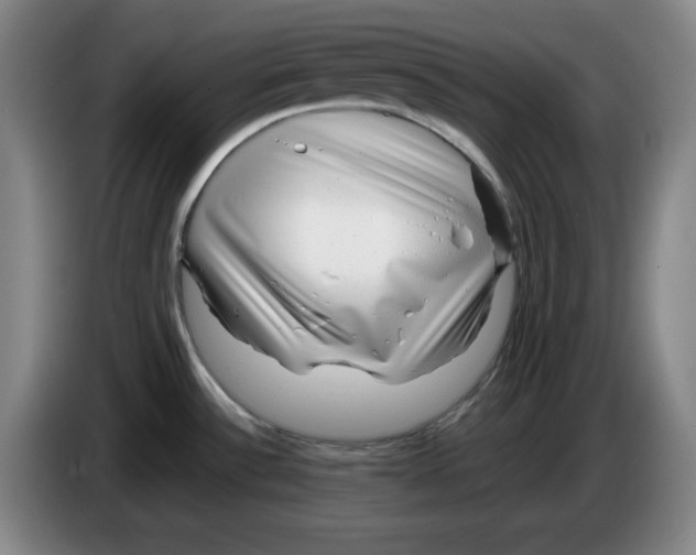 X0000083601532200703091731