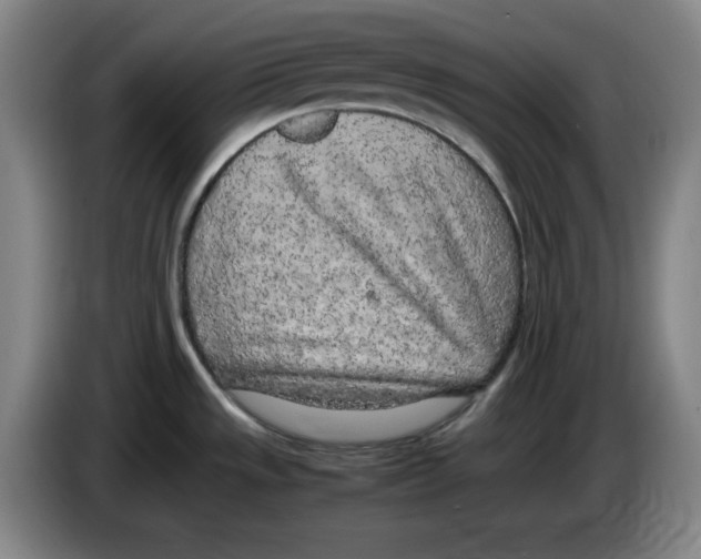 X0000083601533200703091731