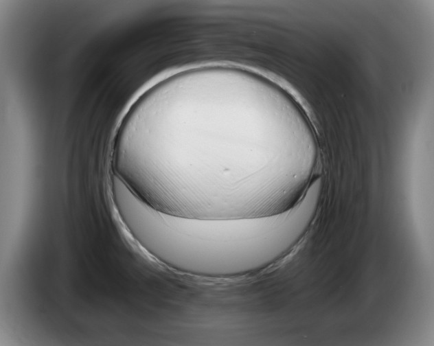 X0000083601534200703091731