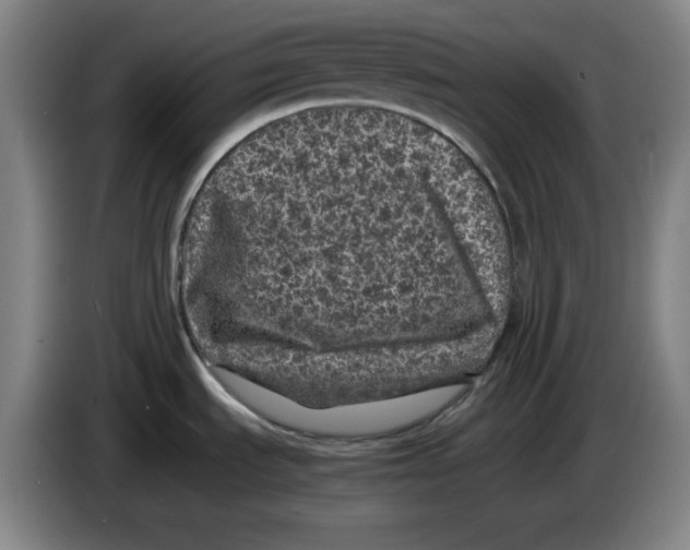 X0000083601535200703091731