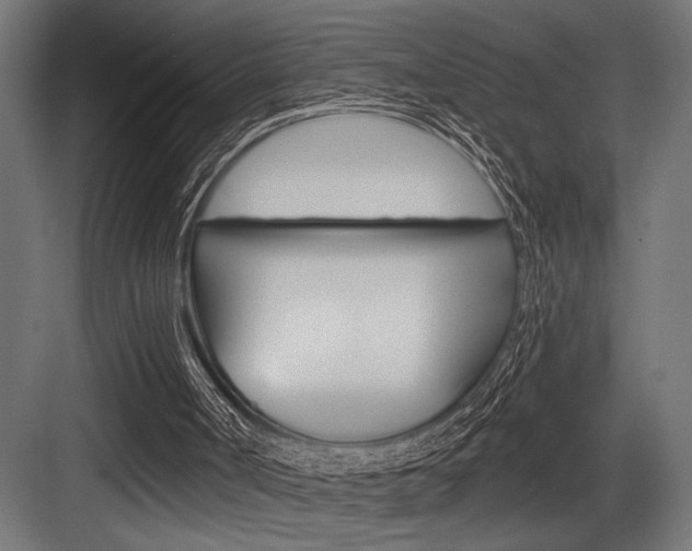 X0000083610002200702120735