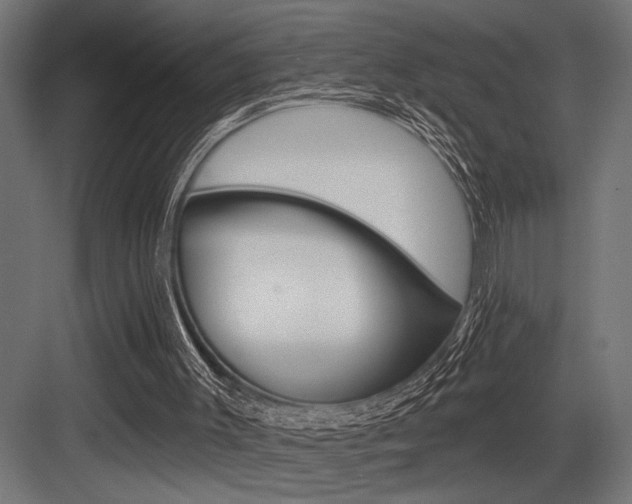 X0000083610003200702120735