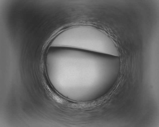 X0000083610005200702120735