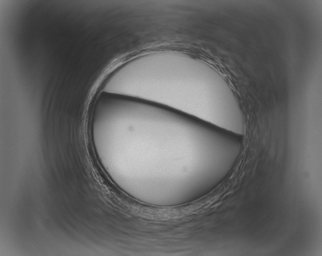 X0000083610006200702120735