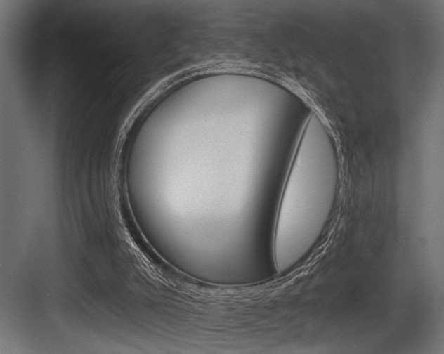 X0000083610007200702120735