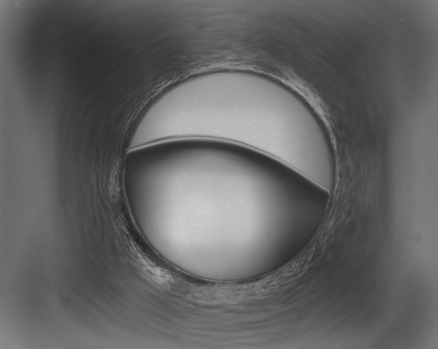 X0000083610009200702120735