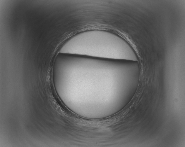 X0000083610010200702120735