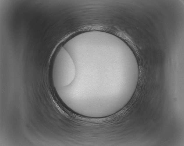 X0000083610012200702120735