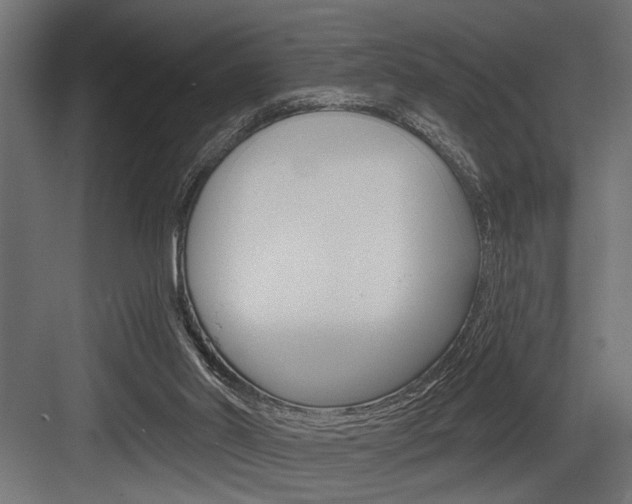 X0000083610014200702120735