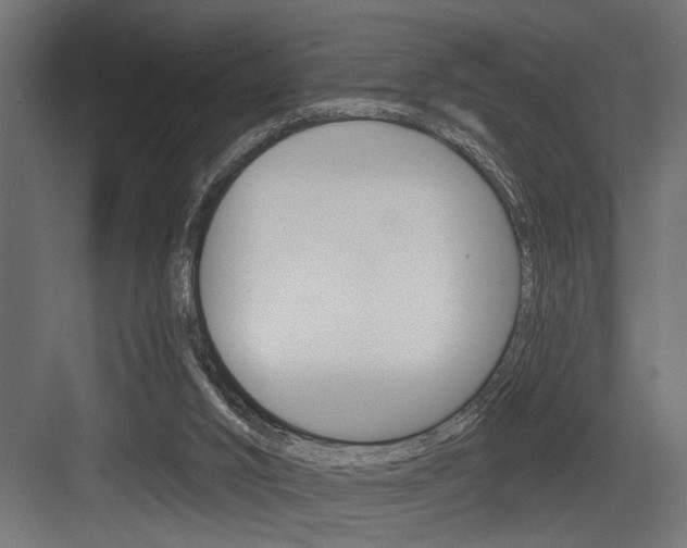 X0000083610016200702120735