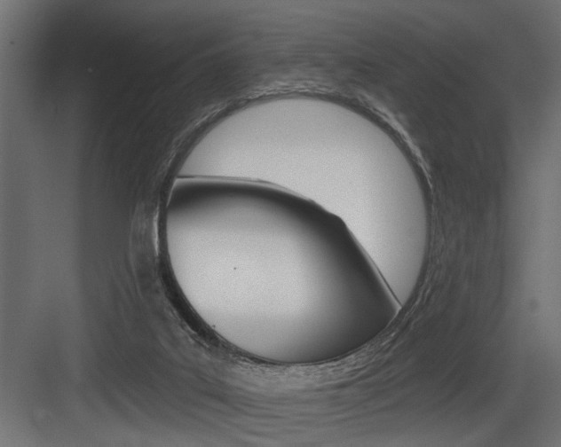 X0000083610019200702120735