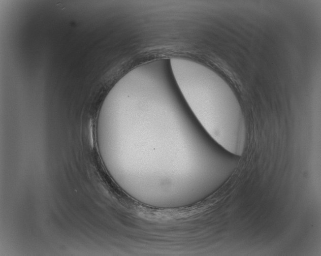 X0000083610022200702120735