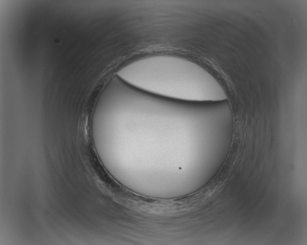 X0000083610024200702120735