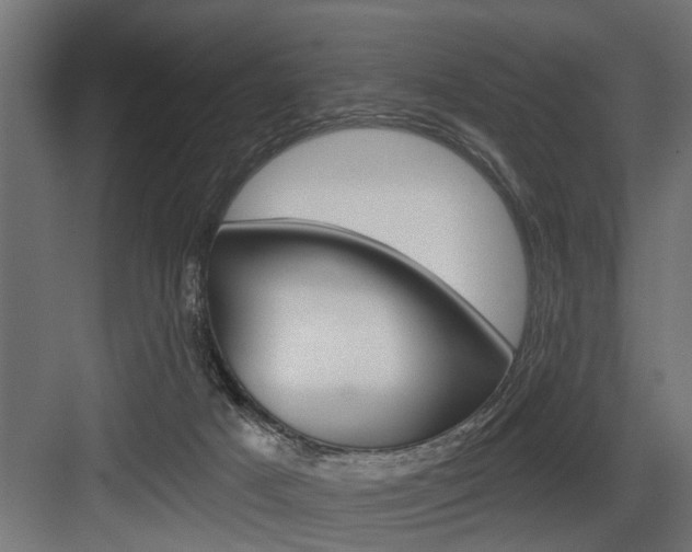 X0000083610025200702120735