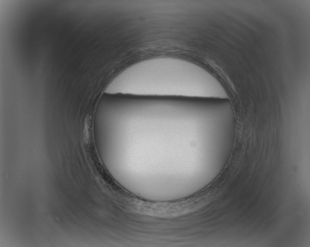 X0000083610026200702120735