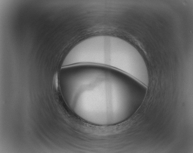 X0000083610027200702120735