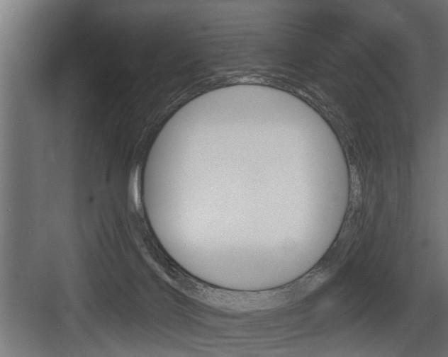 X0000083610028200702120735