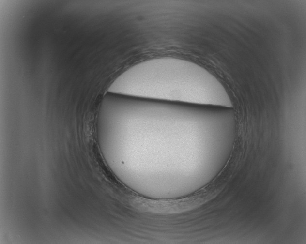 X0000083610030200702120735