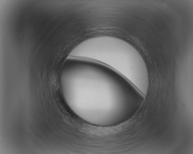 X0000083610031200702120735