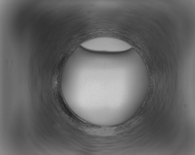 X0000083610032200702120735