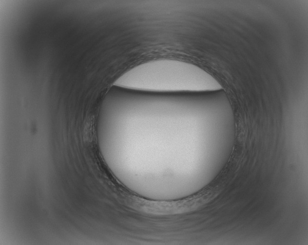 X0000083610034200702120735