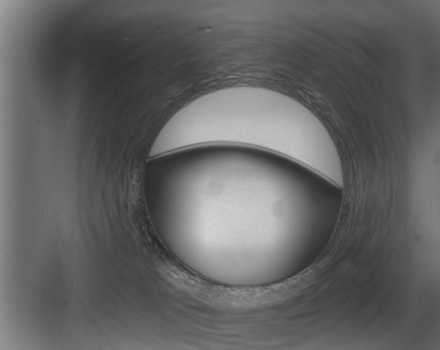 X0000083610037200702120735