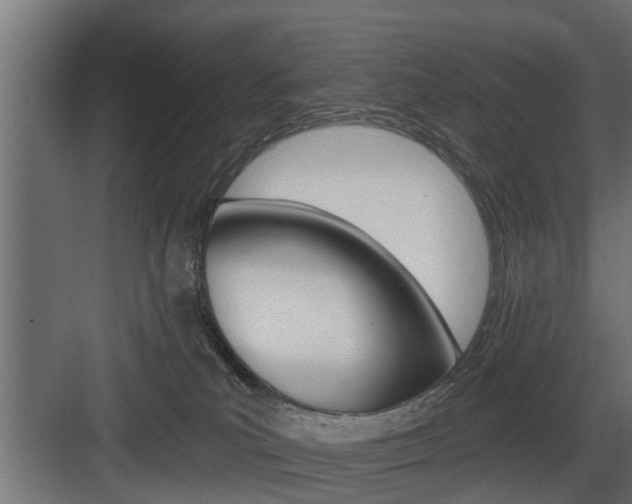 X0000083610039200702120735