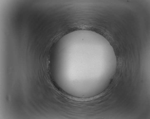 X0000083610043200702120735