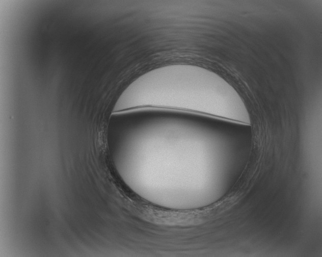 X0000083610044200702120735