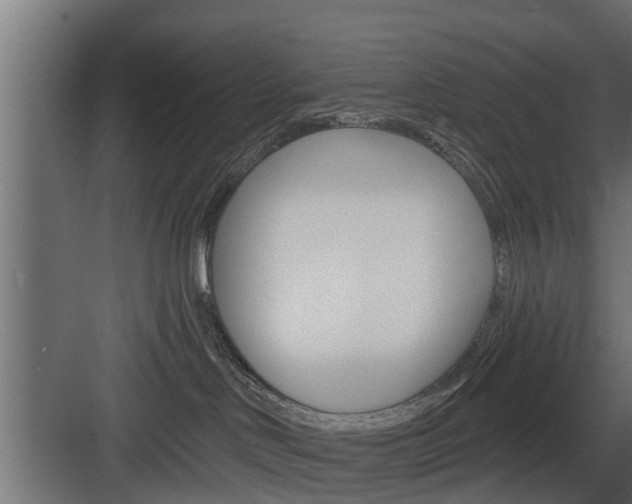 X0000083610046200702120735