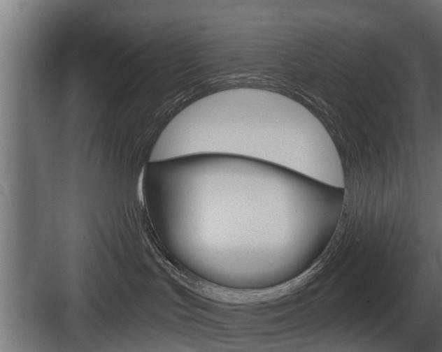 X0000083610047200702120735