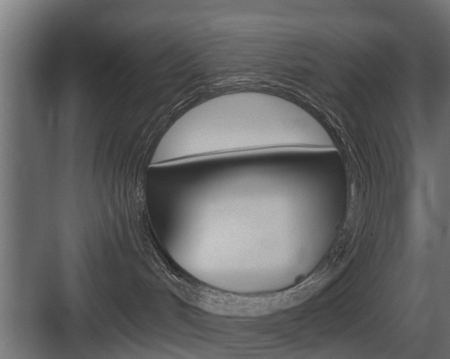 X0000083610048200702120735