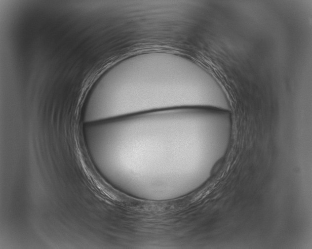 X0000083610049200702120734