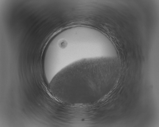 X0000083610050200702120734