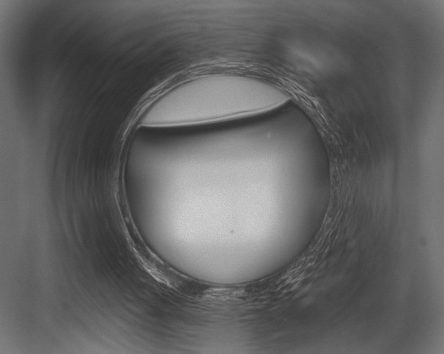 X0000083610051200702120734