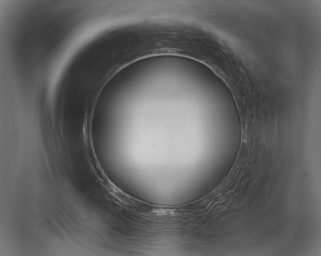 X0000083610052200702120734