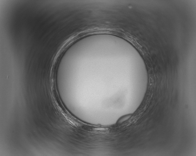 X0000083610053200702120734