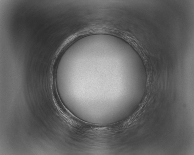 X0000083610054200702120734