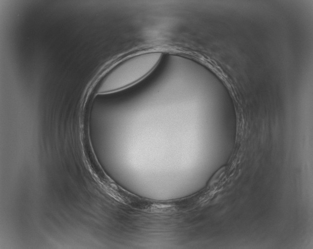 X0000083610055200702120734