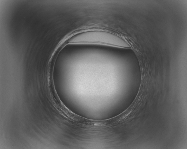 X0000083610056200702120734