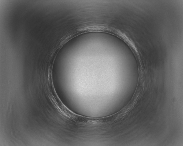 X0000083610057200702120734