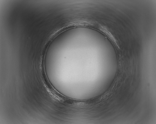 X0000083610058200702120734